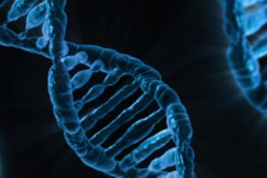 Dna. Original public domain image from Wikimedia Commons